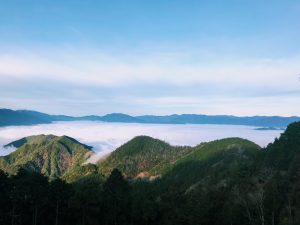 奈良でもみれる 神秘的な雲海 奈良体験 Comブログ